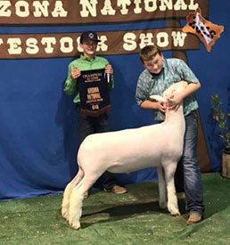 Champion AOB - Arizona Nationals