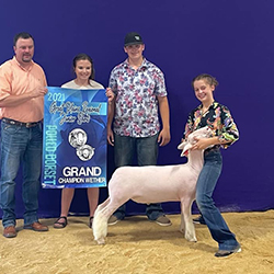Titus Club Lambs Winners